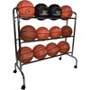 image:imageChampion SportsSilver