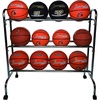 image:imageChampion SportsSilver