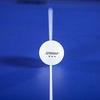 image:imageChampion Sports 3 Star Table Tennis Ball Pack  Tournament Size 40mm Seamless CTTA amp ITTA ApprovedBox of 38 White