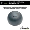 image:imageChampion Sports 53CM FITPRO BRT Training amp Exercise Ball Grey