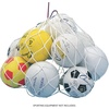 image:imageChampion Sports Basketball Ball BagBC10