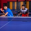 image:imageChampion Sports Champion Sports Table Tennis NetMulti