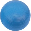 image:imageChampion Sports Exercise Ball Chair with Included Hand Air Pump FitPro Balance Ball Chair with Wheels and Back Support  Multiple StylesYouth Chair Gray  Blue