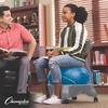 image:imageChampion Sports Exercise Ball Chair with Included Hand Air Pump FitPro Balance Ball Chair with Wheels and Back Support  Multiple StylesYouth Chair Gray  Blue