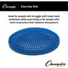 image:imageChampion Sports Exercise Disc