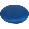 image:imageChampion Sports Exercise Disc