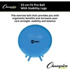 image:imageChampion Sports FitPro amp Maxafe Sitsolution Stability Balls  Balance Core amp Strength Exercise Ball for Home Gym or Office Workouts  Durable BurstResistant Fitness BallRoyal Blue