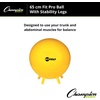 image:imageChampion Sports FitPro amp Maxafe Sitsolution Stability Balls  Balance Core amp Strength Exercise Ball for Home Gym or Office Workouts  Durable BurstResistant Fitness BallYellow