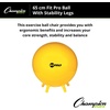 image:imageChampion Sports FitPro amp Maxafe Sitsolution Stability Balls  Balance Core amp Strength Exercise Ball for Home Gym or Office Workouts  Durable BurstResistant Fitness BallYellow