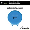 image:imageChampion Sports FitPro amp Maxafe Sitsolution Stability Balls  Balance Core amp Strength Exercise Ball for Home Gym or Office Workouts  Durable BurstResistant Fitness BallRoyal Blue