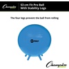 image:imageChampion Sports FitPro amp Maxafe Sitsolution Stability Balls  Balance Core amp Strength Exercise Ball for Home Gym or Office Workouts  Durable BurstResistant Fitness BallRoyal Blue