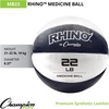 image:imageChampion Sports Leather Medicine Balls  Durable Weighted Balls for Strength Core amp Conditioning TrainingBlack 2122 lbs