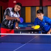 image:imageChampion Sports PN5 AllPlastic Table Tennis Racket Assorted