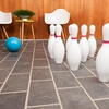 image:imageChampion Sports Plastic Bowling Ball  Youth Bowling Game for All Skill Levels IndoorOutdoor Play Fits Foam or Plastic Pin Sets 35 lb Ball SizesBlue 4 Pounds