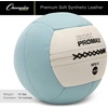 image:imageChampion Sports Rhino Promax Wall Balls  Soft Shell NonSlip Grip for Weightlifting Plyometrics Cross Training amp Home Gym14 LBS