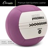 image:imageChampion Sports Rhino Promax Wall Balls  Soft Shell NonSlip Grip for Weightlifting Plyometrics Cross Training amp Home Gym16 LBS