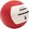 image:imageChampion Sports Rhino Promax Wall Balls  Soft Shell NonSlip Grip for Weightlifting Plyometrics Cross Training amp Home Gym4 LBS