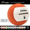 image:imageChampion Sports Rhino Promax Wall Balls  Soft Shell NonSlip Grip for Weightlifting Plyometrics Cross Training amp Home Gym6 LBS