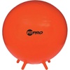 image:imageChampion Sports FitPro amp Maxafe Sitsolution Stability Balls  Balance Core amp Strength Exercise Ball for Home Gym or Office Workouts  Durable BurstResistant Fitness BallRed