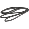 image:imageChampion Sports Stretch Training Bands  Durable Fitness Bands for Strength Training Stretching amp Rehab Multiple Resistance LevelsGray