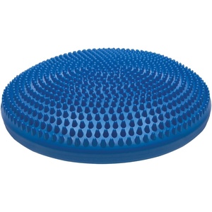 image:imageChampion Sports Exercise Disc