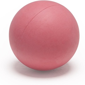 image:imageChampion Sports Practice Sponge Lacrosse Balls Soft Touch for Professional College amp Grade School Indoor Training amp PracticePink 12Pack Indoor Practice Lacrosse Balls