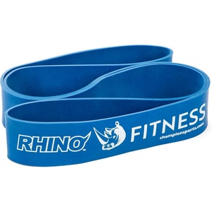 image:imageChampion Sports Stretch Training Bands  Durable Fitness Bands for Strength Training Stretching amp Rehab Multiple Resistance LevelsBlue