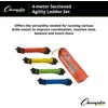 image:imageChampion Sports AGLCLR4 4M Sectioned Agility Ladder Set