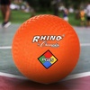 image:imageChampion Sports Physical Education Mixed Playground Ball SetMixed Playground Ball Set
